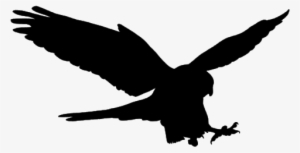 Falcon Only - Portable Network Graphics