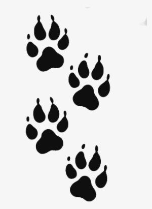 Join The Andalusian Pact For The Wolf - Logo Pet Vector