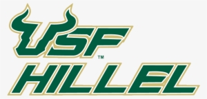 Usf Vs Georgia Tech