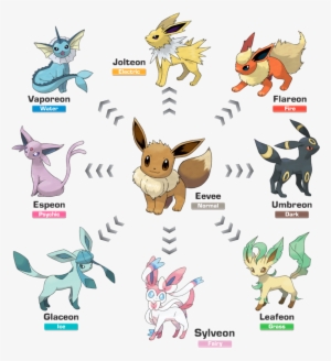 All The Other Eeveelutions Get A Tail Eevee Had One - Evoluzione Eevee Pokemon Go