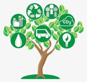 Ot, Sustainable, Education, Tree, Ot Education, Climate - Education Sustainability