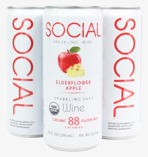 Product Image 1 Elderflower - Social Wine Cans