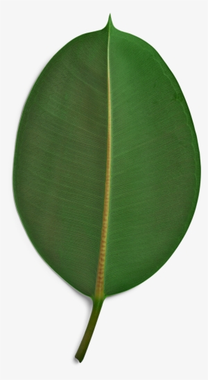 Sustainability 2015 Was Our First Sustainable Development - Sustainability