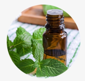 Essential Oil Diffuser,holan 120ml Ultrasonic Aromatherapy