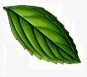 Leaf Mint Plant Green Tea Mint Mint Mint M - Mint Leaf Clip Art
