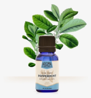 Peppermint Essential Oil - Yerba Mate Leaf