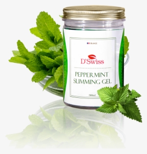 326321766121547363 - 16 Capsule Gattopardo Tisana Menta Compatibile Dolce