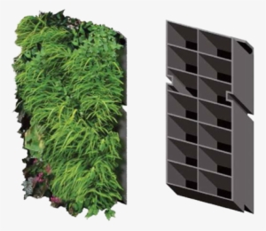 Our Modular Kits Shown Both Fully Grown, And Empty - Modular Living Walls