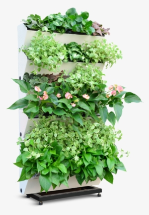 Easy Clip System Converts Your Empty Wall Into A Garden - Model