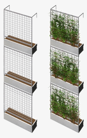 Green Wall Rendering More - Facade Green