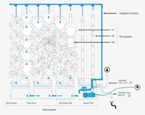 Sketch Of The Full Growup Green Wall Setup - Irrigation System Green Wall