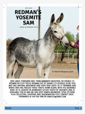 Newsletter Oct2018 05-min - Newsletter