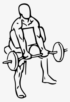 Everkinetic - Preacher Curls Drawing
