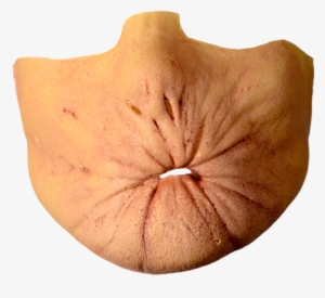 Arseface Mask