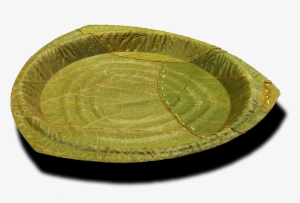 German Company Making Plates Out Of Leaves That Biodegrade