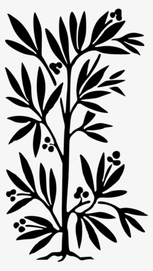 Silhouette Line Art Flower Leaf Plant Stem - Clip Art
