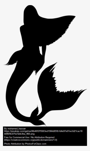 With A Voice That Could Entrance Sailors To Jump To - Cauda De Sereia Desenho