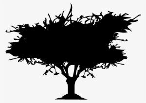Trees Silhouette - Vector Graphics