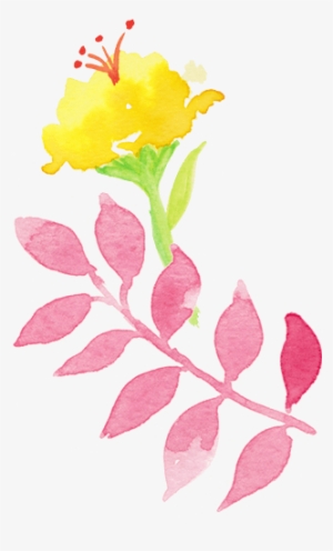 Under Left Flowers - Common Peony