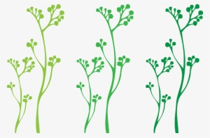 Flourish, Wedding, Plants, Summer, Plant, Stems, Stem - Tallos De Hojas Png