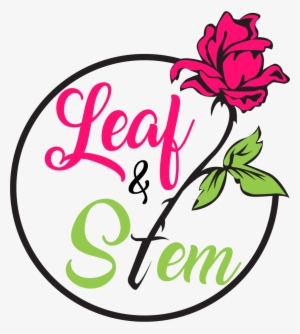 Leaf & Stem