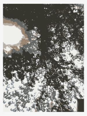 This Free Icons Png Design Of Trees And Sun Canopy