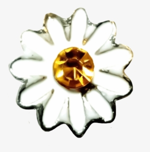 White Daisy Photo - Cake