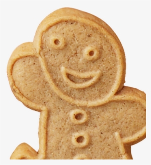 Seasonal Cookie Background - Cookie