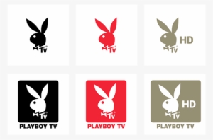 Playboy Sues Canadian Crypto Company - Play Boy