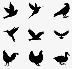 Birds Silhouette - Vector Graphics