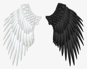 Half Wings Png Transparent - Angel And Demon Wings Png
