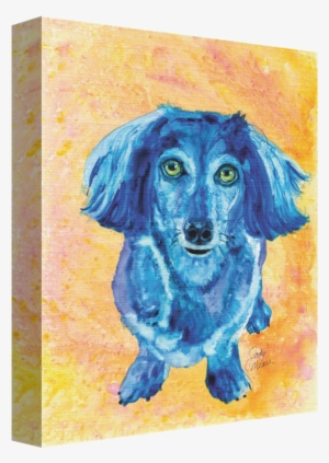 Cleo Dachshund Stretched Canvas