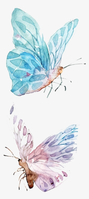 Paper Watercolor Painting Drawing