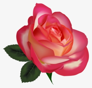 Beautiful Rose Png Clipart Image - Rosas O Flores Png