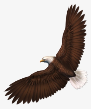 Download Eagle Png Image With Transparency Download - Transparent Background Eagle Clipart
