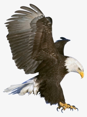 Free Png Eagle Png Images Transparent - Eagle Png Hd