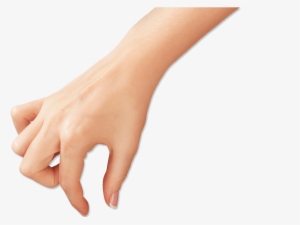 Hand Png Free Image
