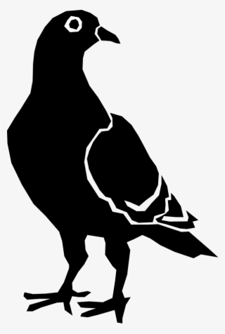 Dove Clipping Art Editing - Pigeon Silhouette