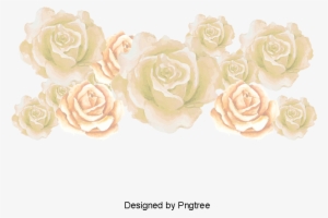 White Roses, Vector Rose Sea, Sea Rose Creative, Flowers - Portable Network Graphics