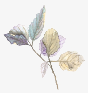 Leaf Branch - Portable Network Graphics