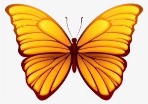Butterfly Png