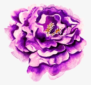 A Purple Watercolor Flower Transparent Png - Am Ende Steht Die Liebe