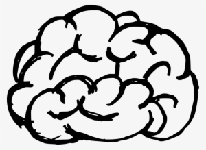 Png File Size - Brain Transparent