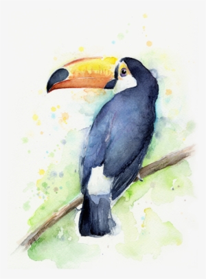 Related Image Watercolor Bird, Watercolor Artwork, - Toucan Watercolor