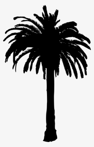 Free Png Palm Tree Png Images Transparent - Palm Tree Silhouette Transparent Background