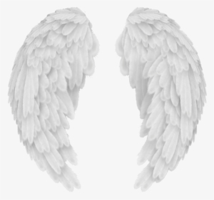 White Angel Wings Png Transparent Image - Angel Wings No Background
