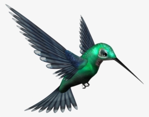 Bird Png - Picsart All Png Hd