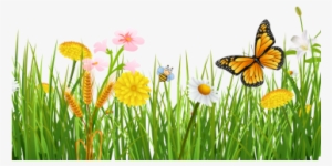 Spring Grass With Butterflies Beautiful Background, - Grama Primavera Png