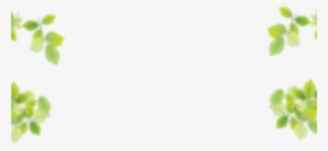 White Background With Leaves Border Png