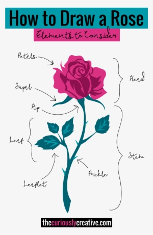 The Ultimate List Of Resources And Tutorials For How - Rose Drawing With Acrylic